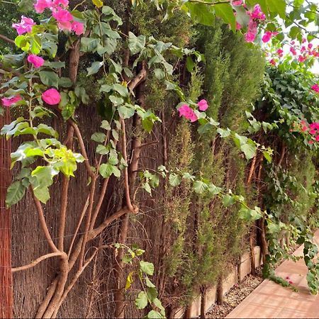Arruzafa Home Cordoba Dış mekan fotoğraf