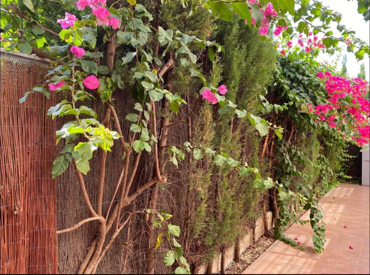 Arruzafa Home Cordoba Dış mekan fotoğraf