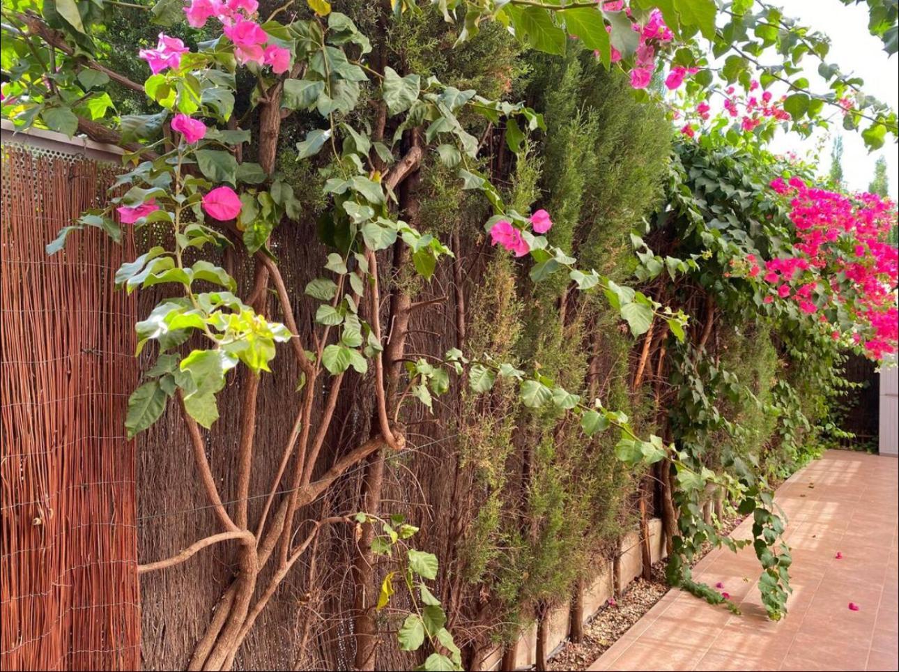 Arruzafa Home Cordoba Dış mekan fotoğraf